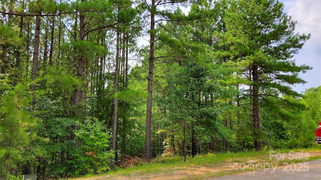 00 Sunset Dr Unit 17, Mill Spring, NC 28756 - photo 1