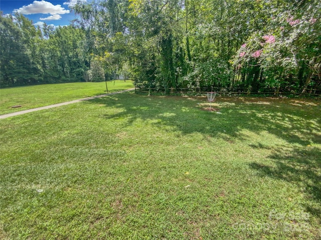 6003 Heath Valley Rd, Charlotte, NC 28210 - view of green lawn