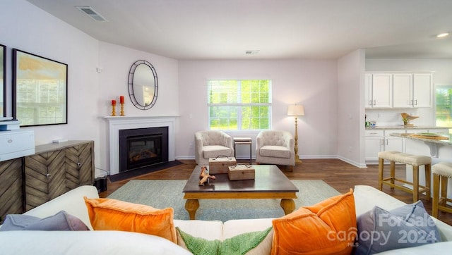 living room featuring dark wood-type flooring