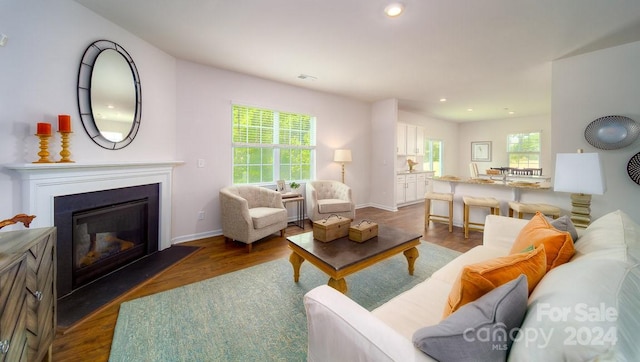 living room featuring dark wood-type flooring