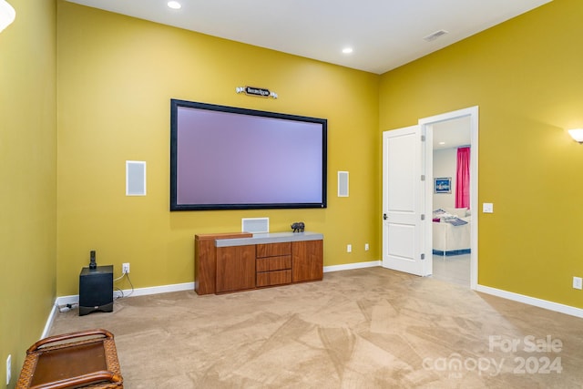 view of carpeted home theater