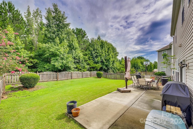 view of yard featuring a patio area