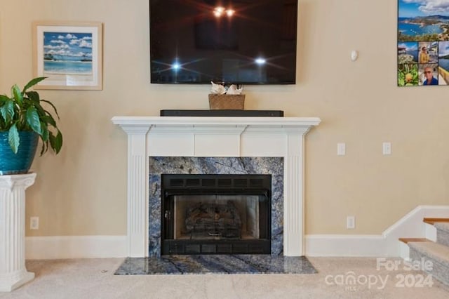 room details with a premium fireplace and carpet flooring