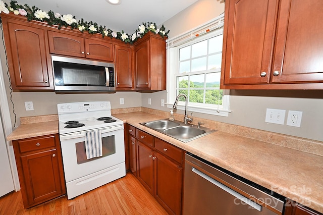 kitchen with sink, light wood-type flooring, and appliances with stainless steel finishes