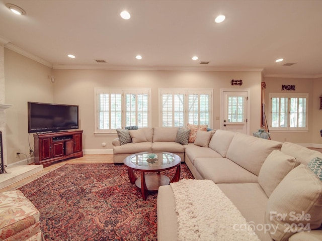 living room featuring light hardwood / wood-style floors and crown molding