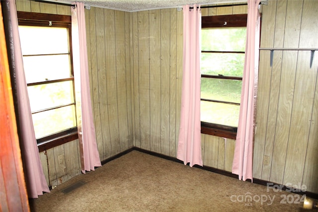 carpeted empty room with wooden walls