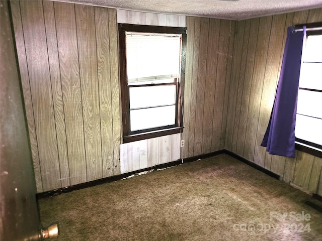 carpeted spare room featuring a healthy amount of sunlight, wooden walls, and a textured ceiling