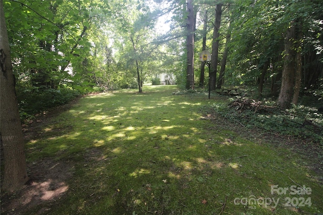 215 Merchant St, Asheville, NC 28803 - photo 23