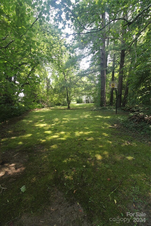 215 Merchant St, Asheville, NC 28803 - photo 24