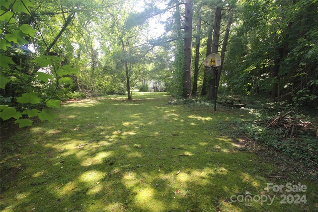 215 Merchant St, Asheville, NC 28803 - photo 25