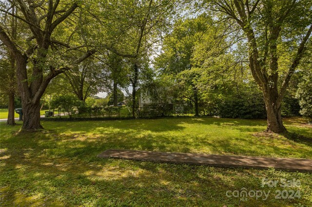 215 Merchant St, Asheville, NC 28803 - photo 30