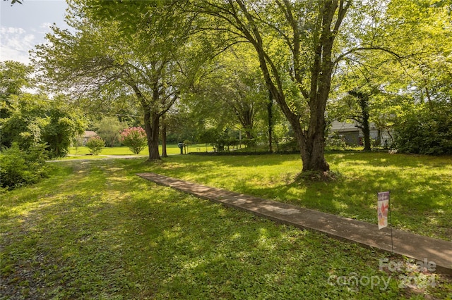 view of yard