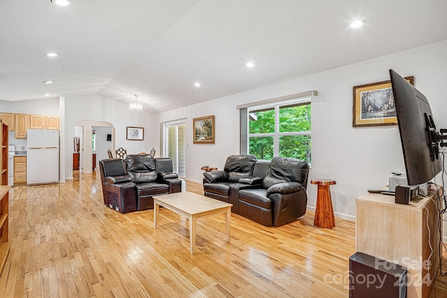 living room with lofted ceiling, a textured ceiling, and light wood-type flooring