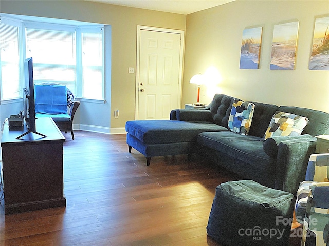 living room with hardwood / wood-style flooring