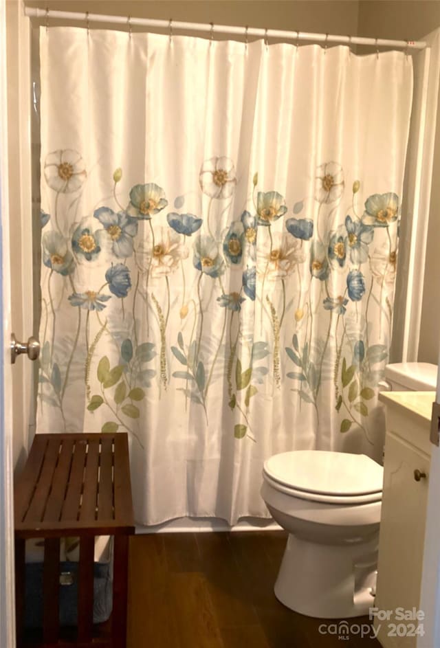 bathroom with vanity, wood-type flooring, and toilet