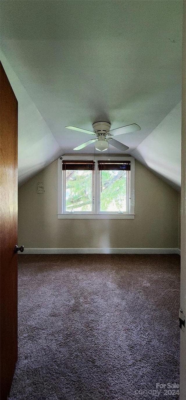 bonus room with lofted ceiling, ceiling fan, and carpet