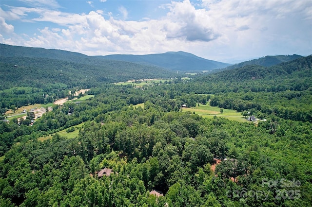 89 Clinchfield Gap Rd, Marion, NC 28752 - photo 3