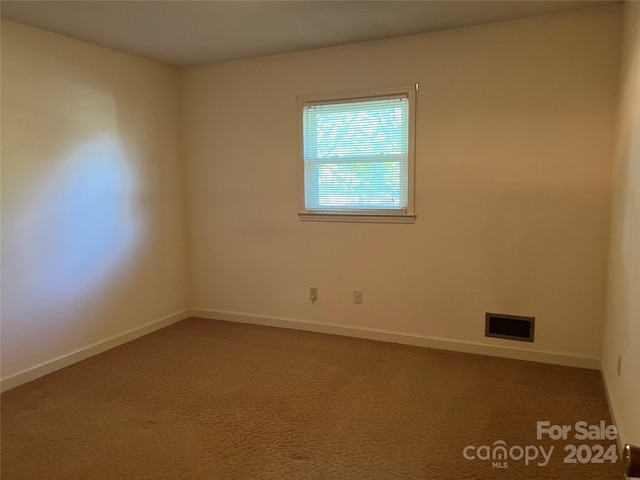 spare room with carpet floors