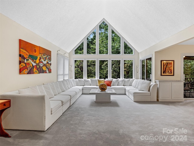 carpeted living room with high vaulted ceiling and a textured ceiling