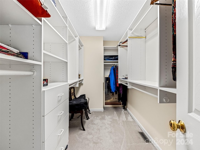 spacious closet featuring light colored carpet