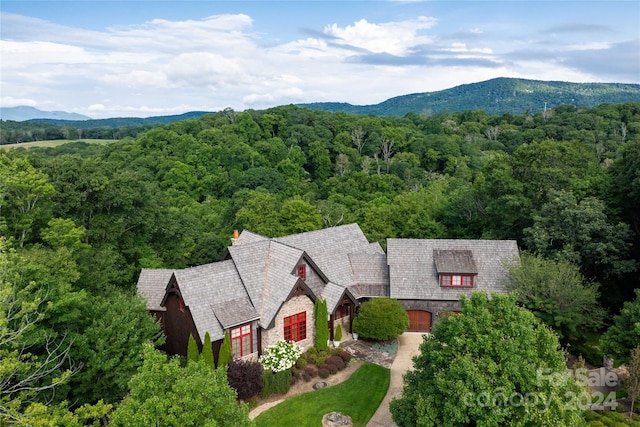 birds eye view of property featuring a mountain view