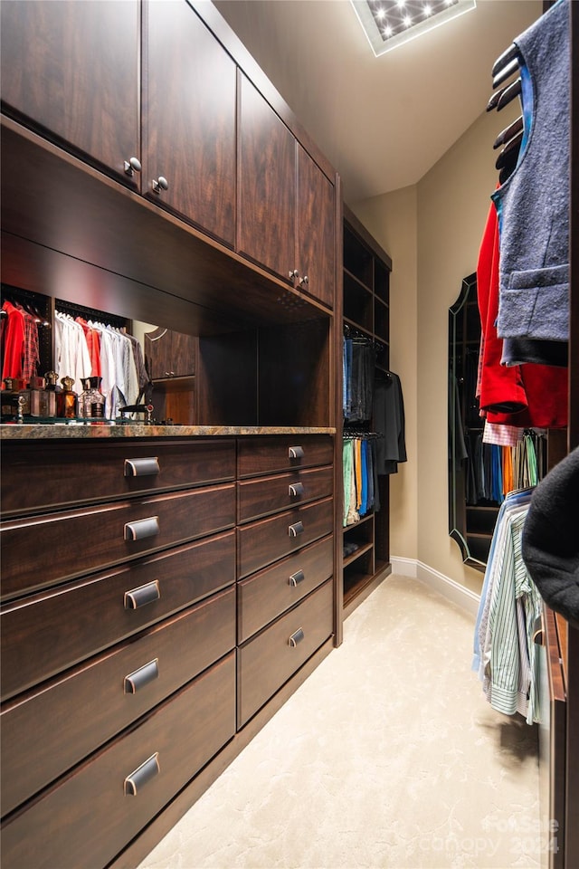 walk in closet with light carpet