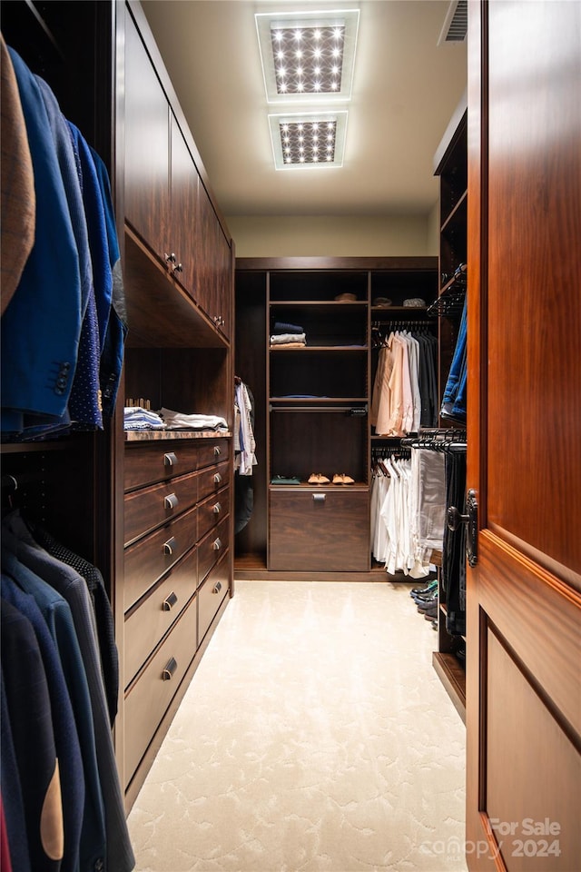 view of walk in closet