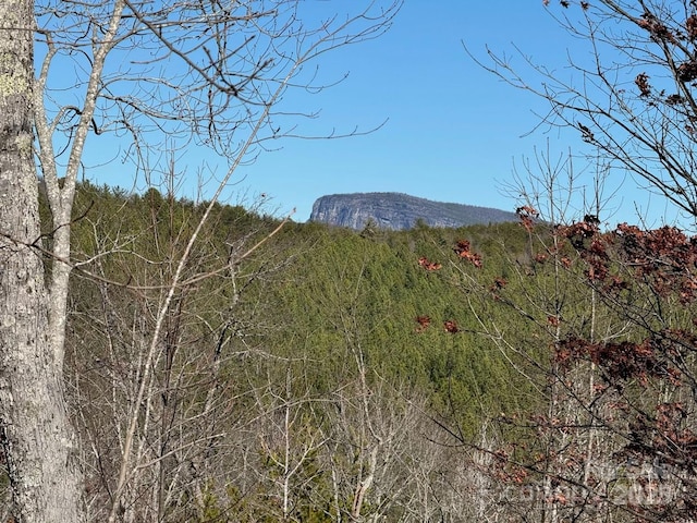 Listing photo 3 for 284 Bear Cliff Cir Unit 53, Nebo NC 28761