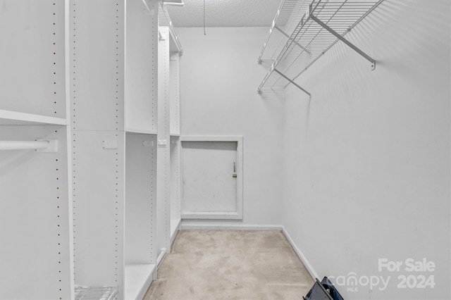 spacious closet featuring carpet