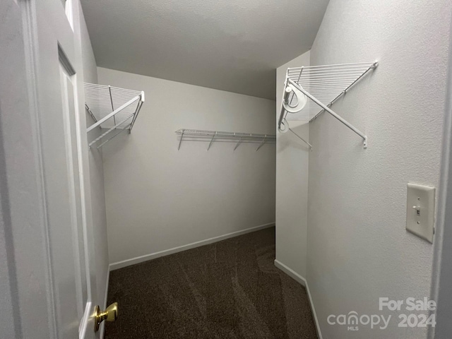 spacious closet featuring dark carpet