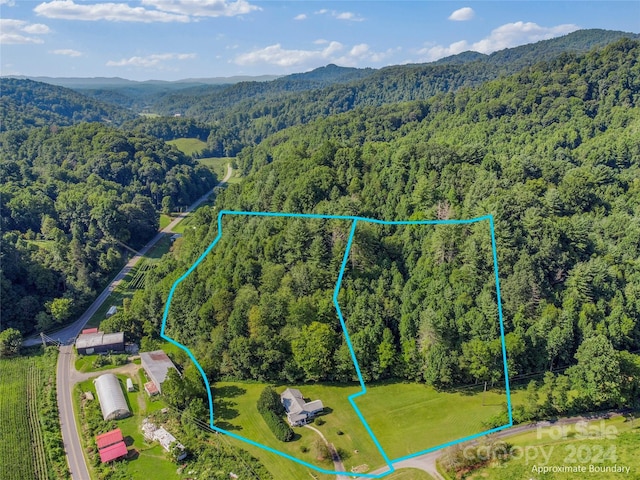 birds eye view of property with a mountain view