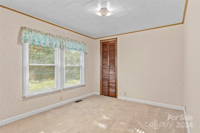 spare room featuring ornamental molding and carpet flooring