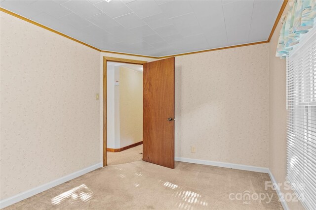 spare room featuring ornamental molding and carpet flooring