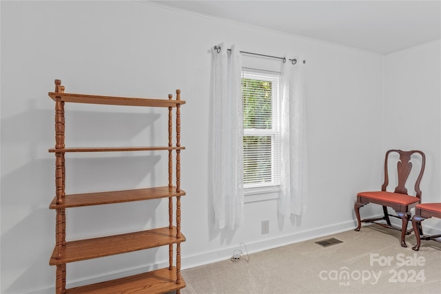 sitting room featuring crown molding and carpet