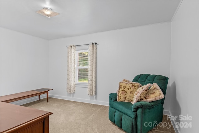 sitting room with carpet