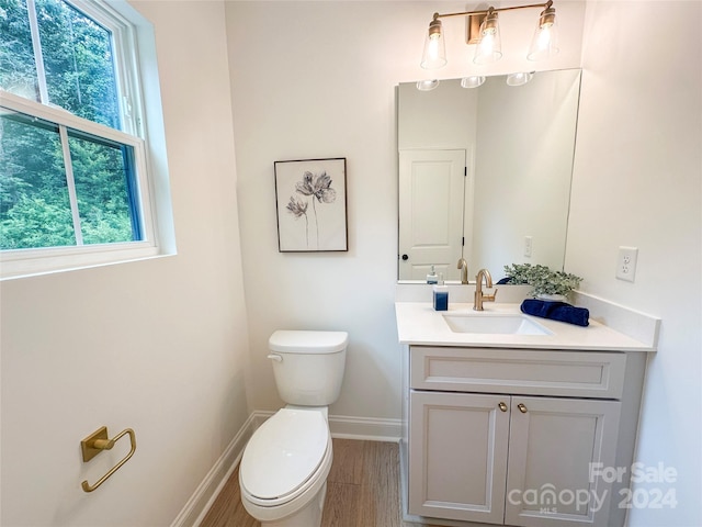 bathroom with hardwood / wood-style flooring, vanity, and toilet