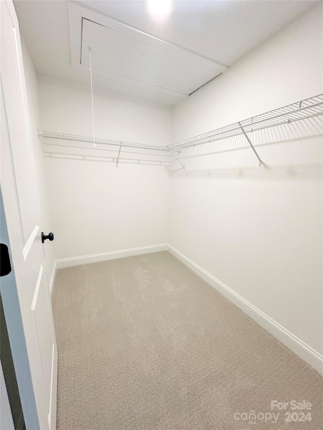 walk in closet with carpet