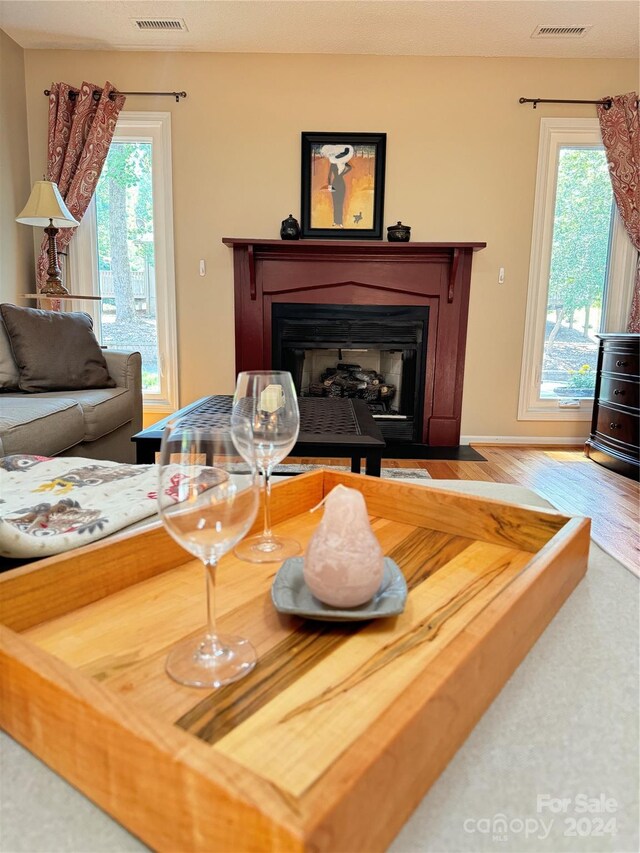 living room featuring hardwood / wood-style flooring