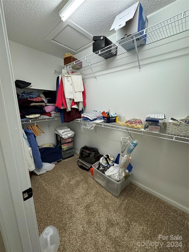 walk in closet with carpet