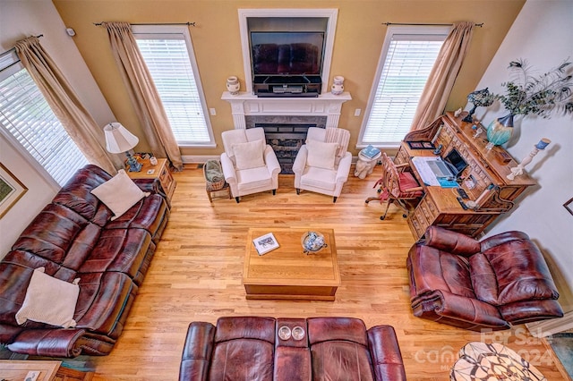 living room featuring hardwood / wood-style flooring and a high end fireplace