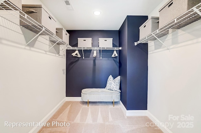 walk in closet featuring carpet floors