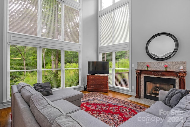 living room with a high ceiling, wood-type flooring, and a fireplace