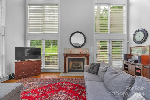 living room with hardwood / wood-style flooring, a towering ceiling, and a wealth of natural light