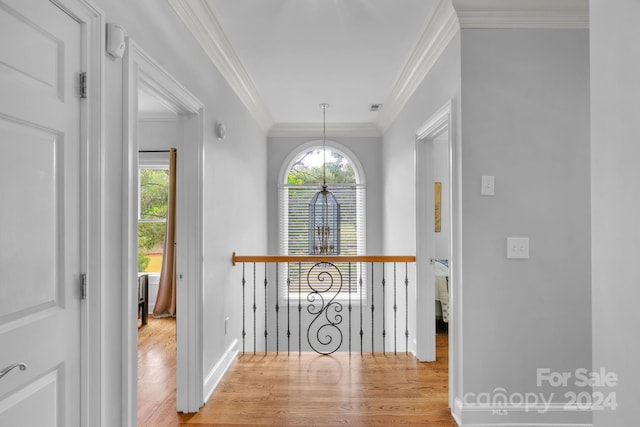 hall featuring crown molding, a healthy amount of sunlight, and light hardwood / wood-style flooring