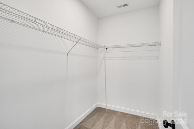 walk in closet featuring carpet floors