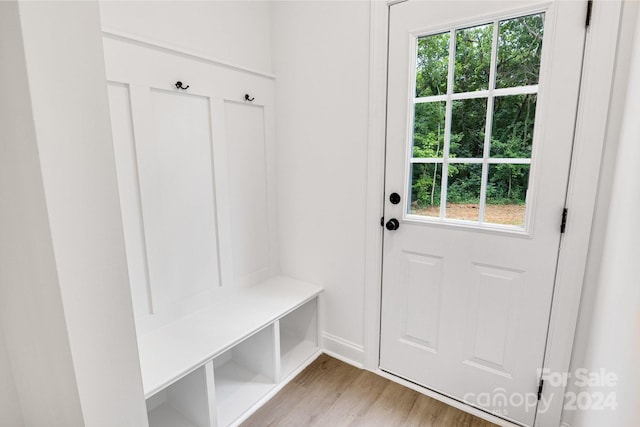 mudroom with light hardwood / wood-style flooring and a wealth of natural light