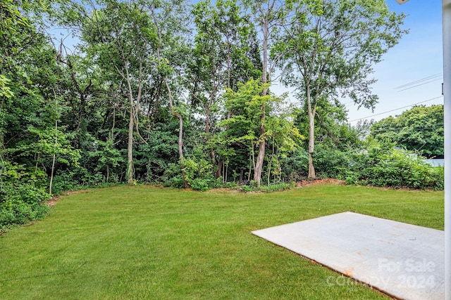 view of yard with a patio