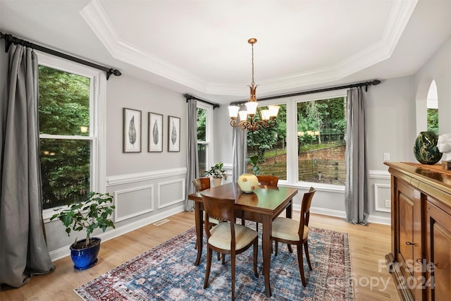 dining room with a raised ceiling, light hardwood / wood-style flooring, and plenty of natural light