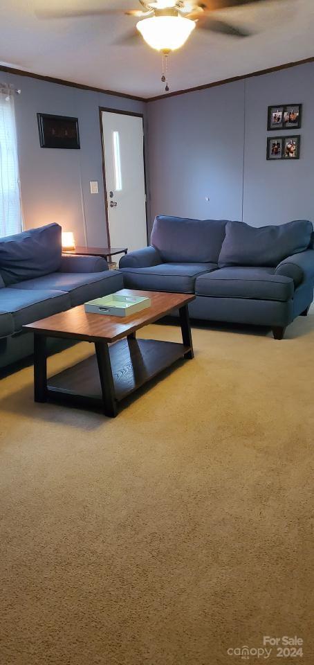 living room featuring carpet floors, ornamental molding, and ceiling fan