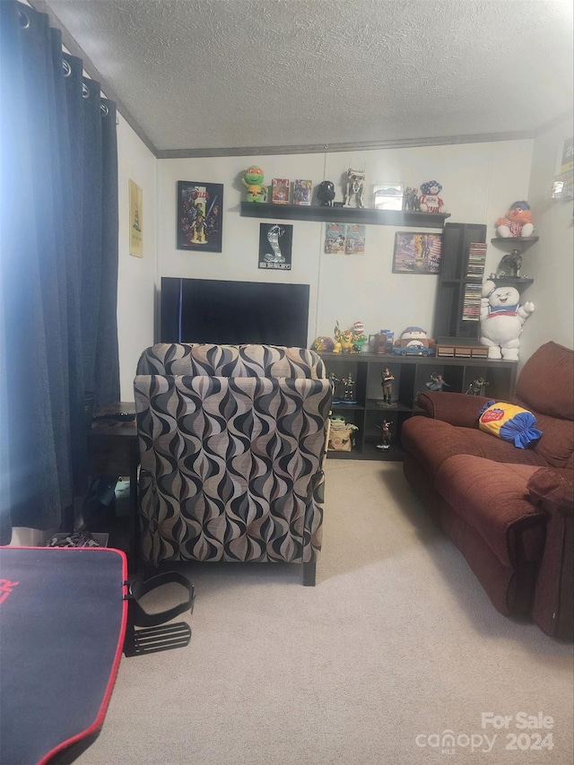 living room featuring carpet flooring and a textured ceiling